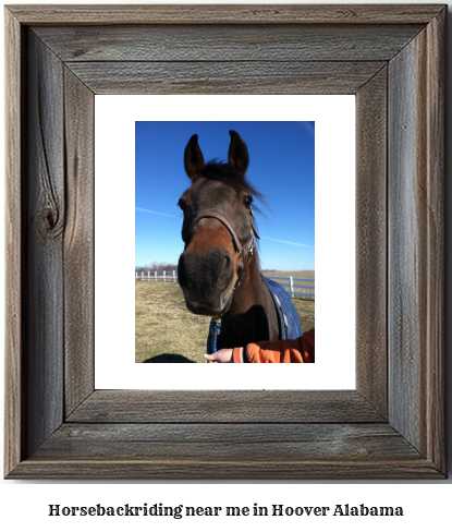 horseback riding near me in Hoover, Alabama